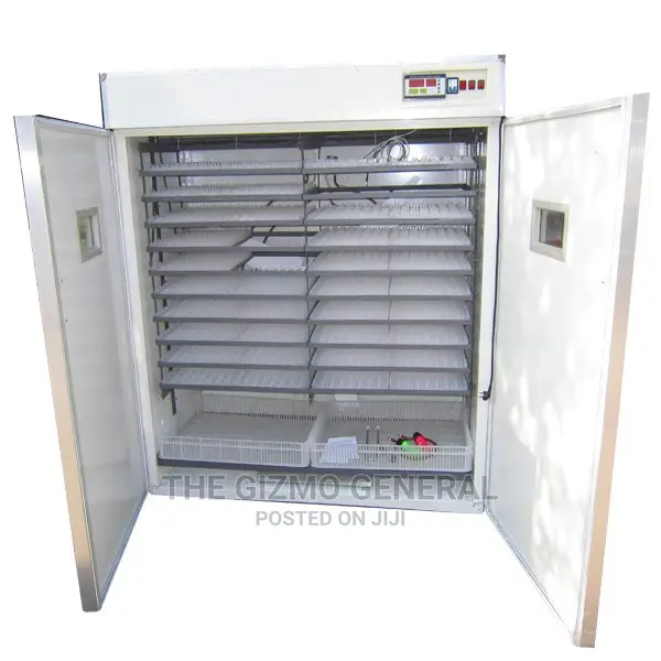 3156 Automatic Egg Incubator