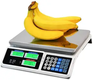 Digital/Electric Pricing Scale