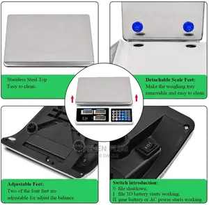 Digital/Electric Pricing Scale