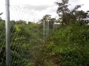 Secure Your Farm Land With Our Galvernize Chain Link Farm F