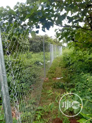 Chain Link Fencing For Farm