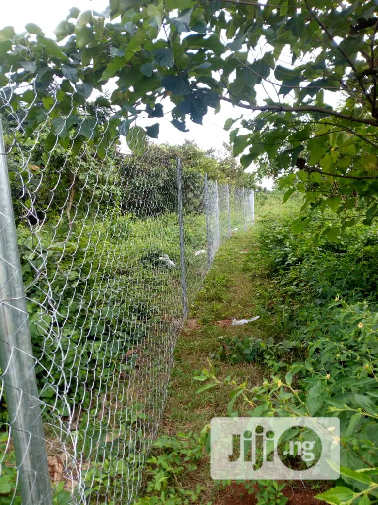 Chain Link Fencing For Farm