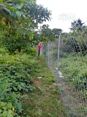 Chain Link Fencing For Farm