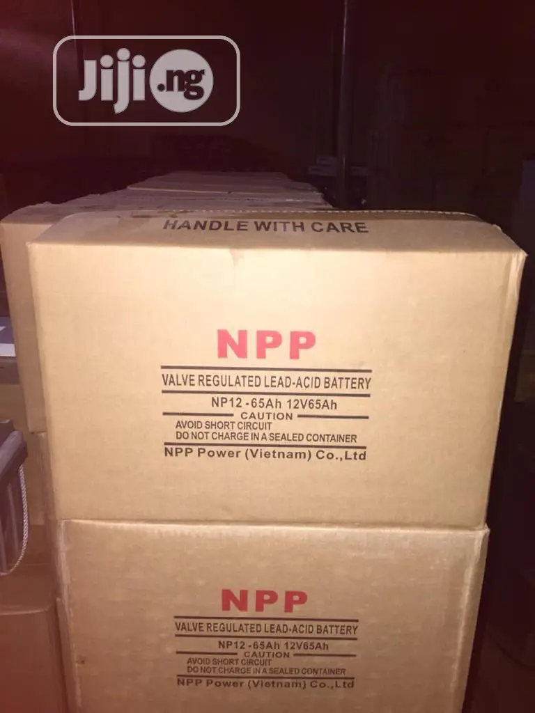 Npp Battery 12v65ah