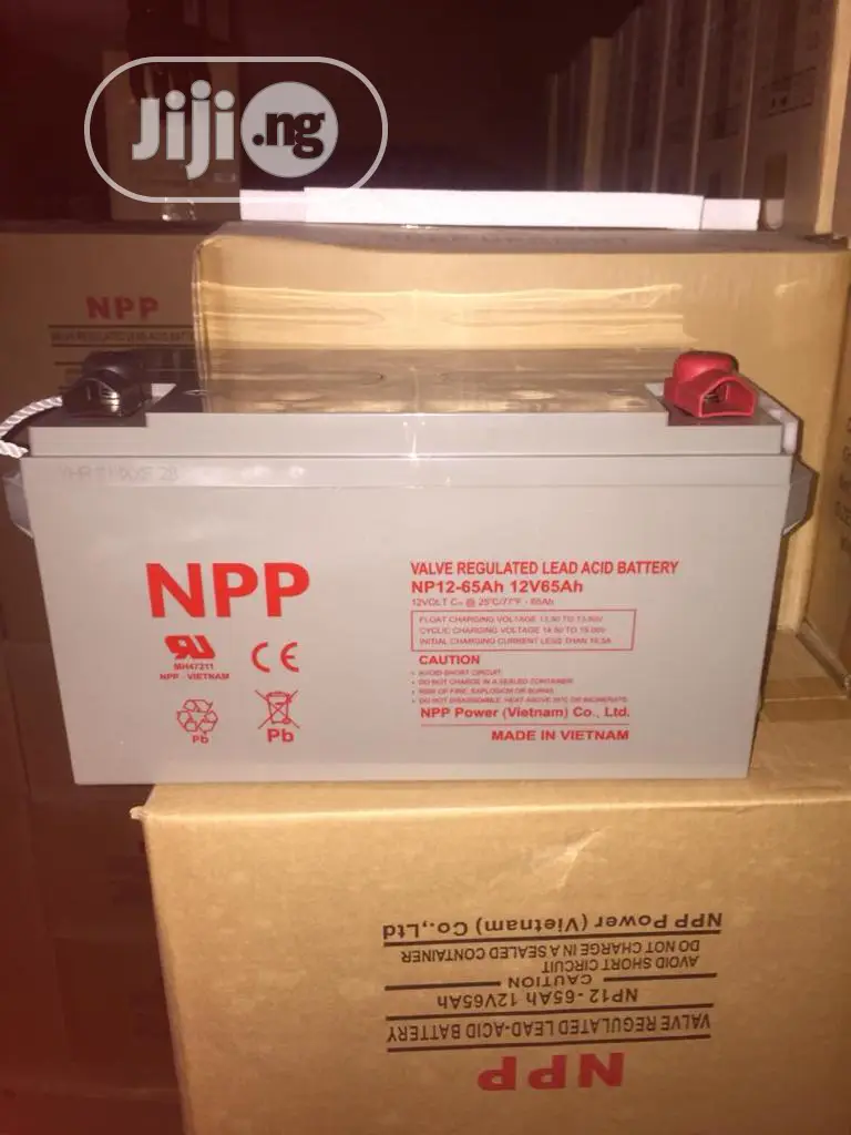 Npp Battery 12v65ah