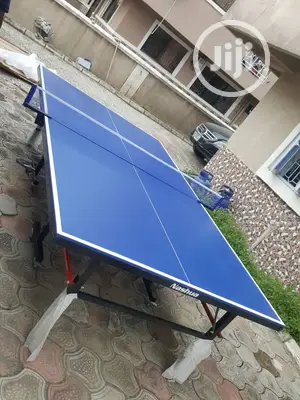Photo - Indoor/ Outdoor Table Tennis