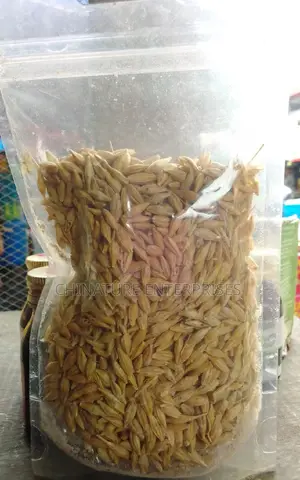 Barley Grains