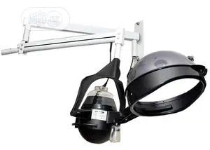 Wing Wall Hair Steamer