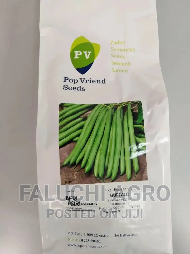 Buffalo Bush Green Beans