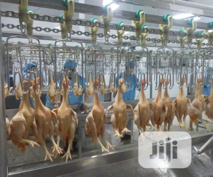 1000BPH Automatic Chicken Slaughter Machine Lines