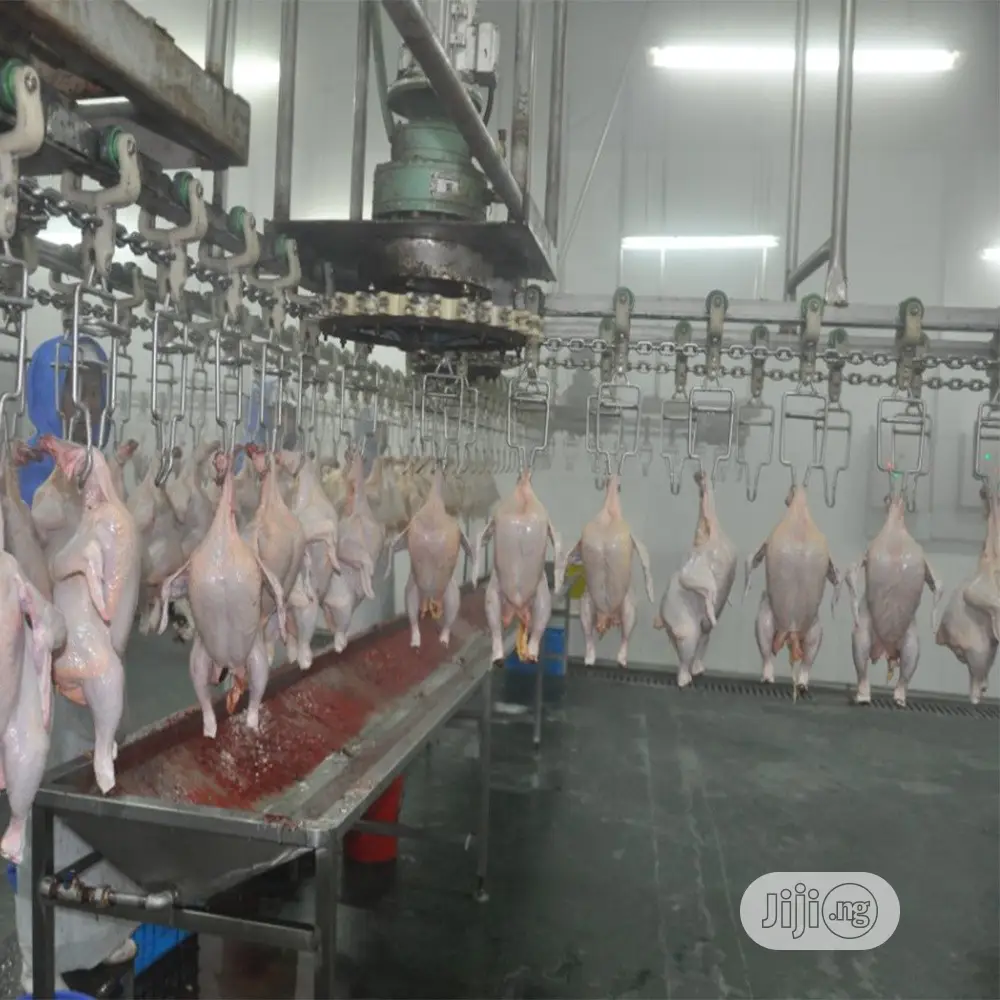 1000BPH Automatic Chicken Slaughter Machine Lines
