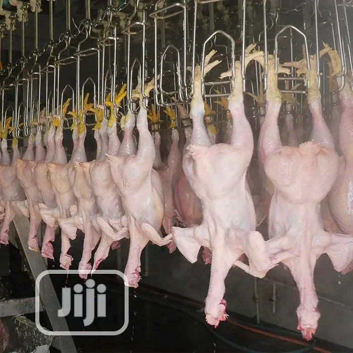 1000BPH Automatic Chicken Slaughter Machine Lines