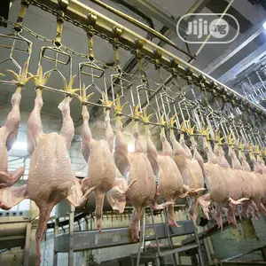 1000BPH Automatic Chicken Slaughter Machine Lines