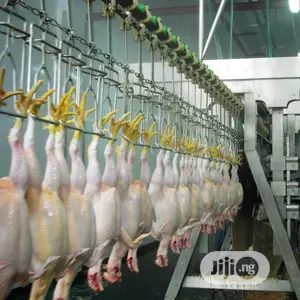 1000BPH Automatic Chicken Slaughter Machine Lines