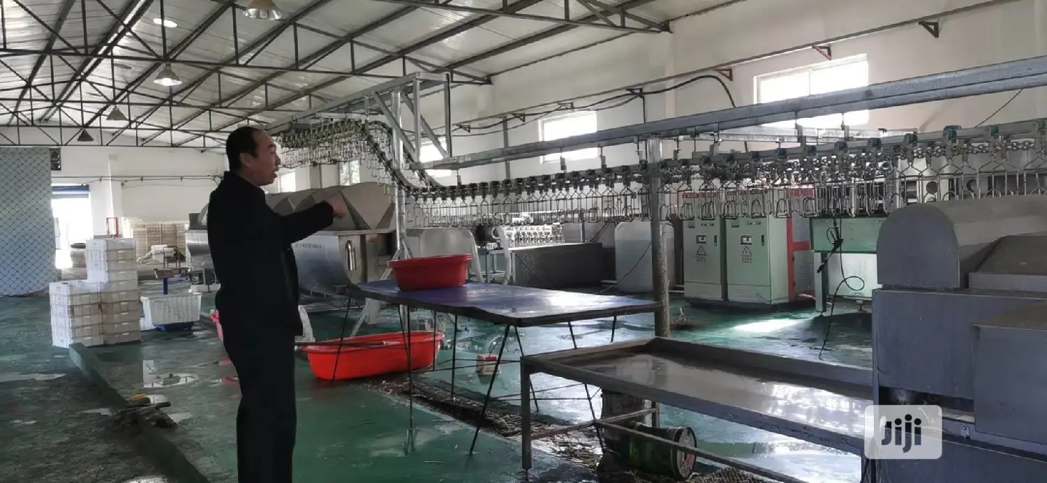 1000BPH Chicken Defeathering Machine Chicken Machine