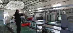 1000BPH Chicken Defeathering Machine Chicken Machine