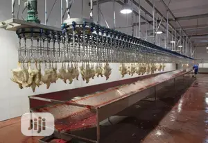 Poultry Slaughterhouse Processing Line Poultry Meat Machine