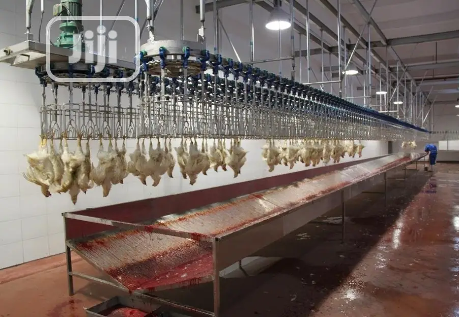 Poultry Slaughterhouse Processing Line Poultry Meat Machine
