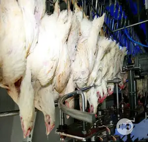 Chicken Slaughter House Automatic Slaughtering Machine