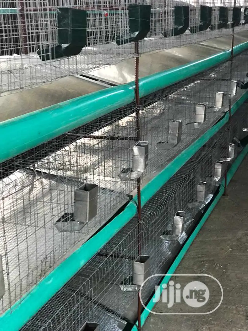 Rabbit Cage Fabricated