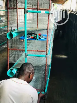 Rabbit Cage Fabricated