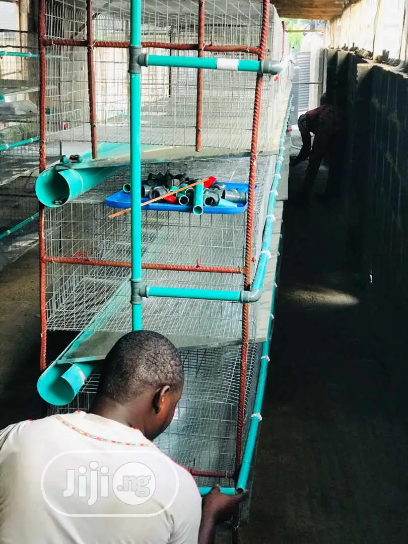 Rabbit Cage Fabricated