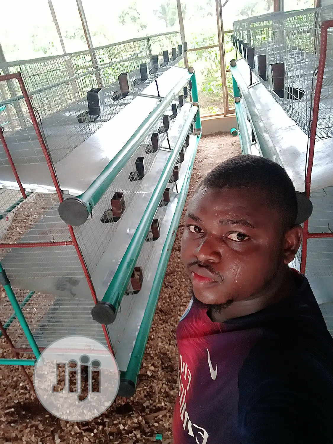 Rabbit Cage Fabricated