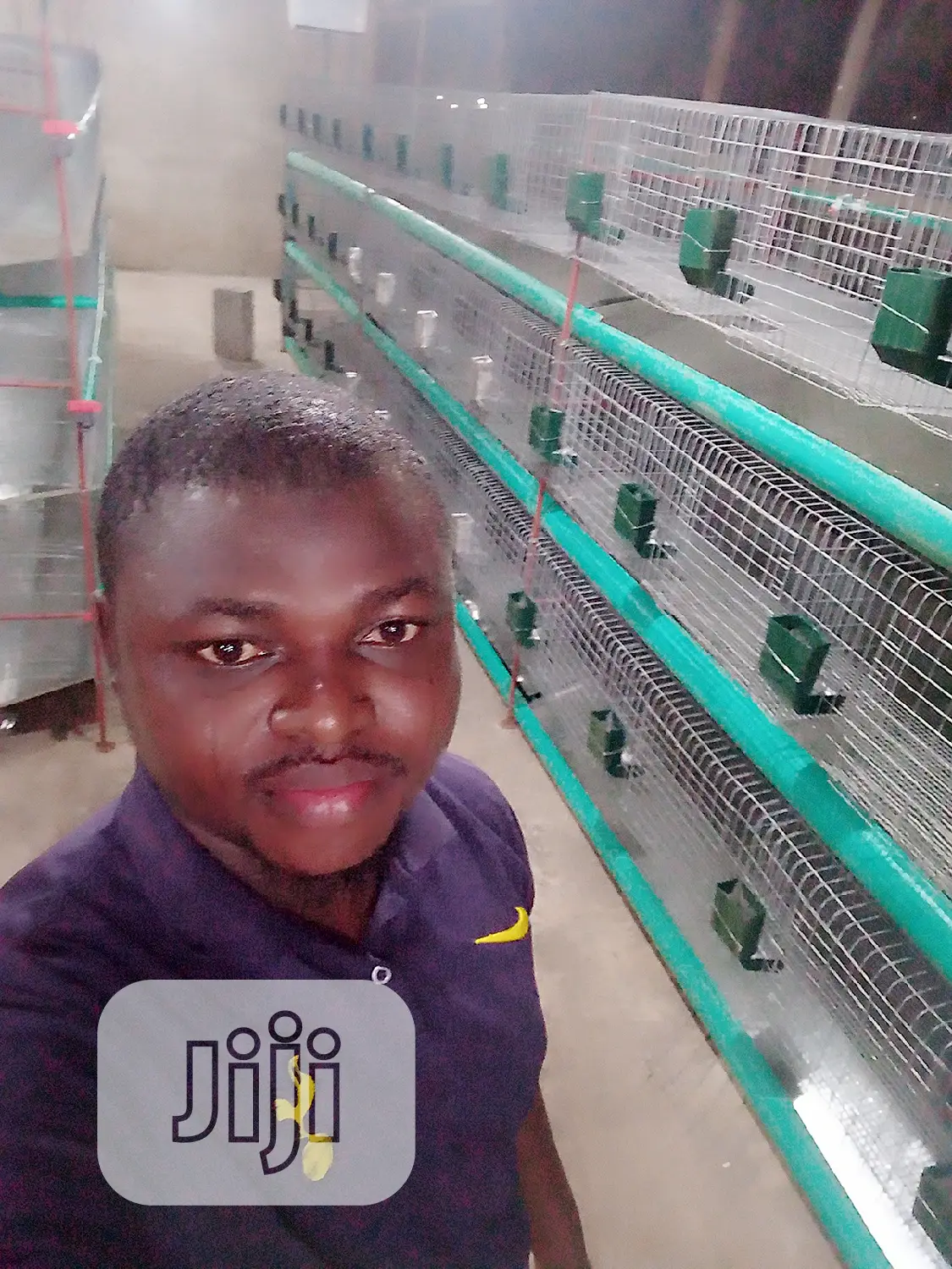 Rabbit Cage Fabricated