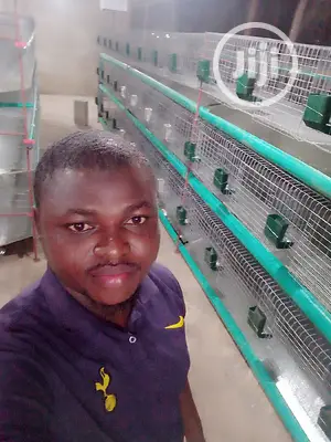Rabbit Cage Fabricated