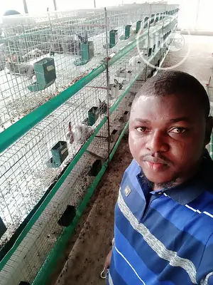 Rabbit Cage Fabricated