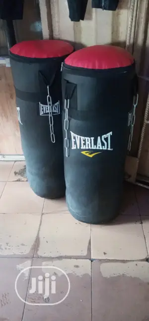 Everlast Punch Bag Is Available