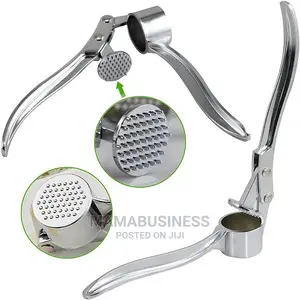 Stainless Steel Garlic Press