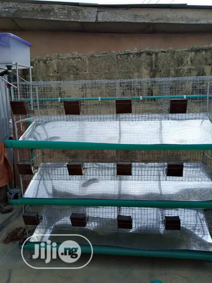 Rabbit Cage Fabricated