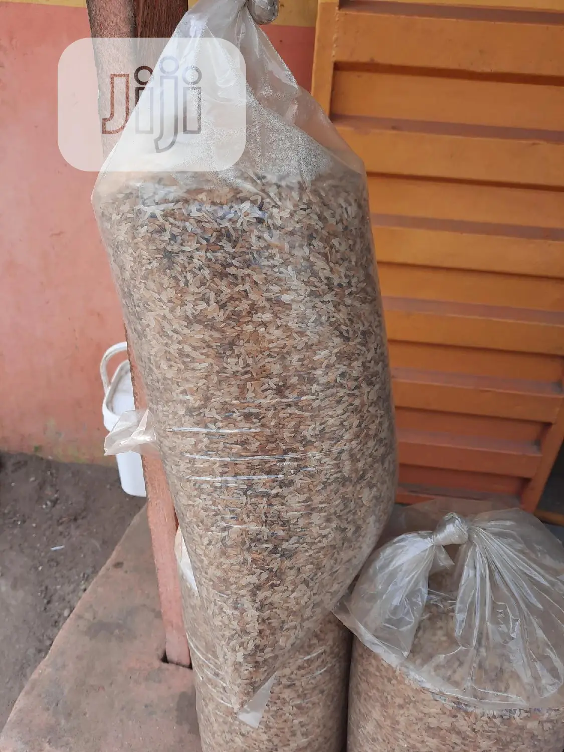 The Dog Rice