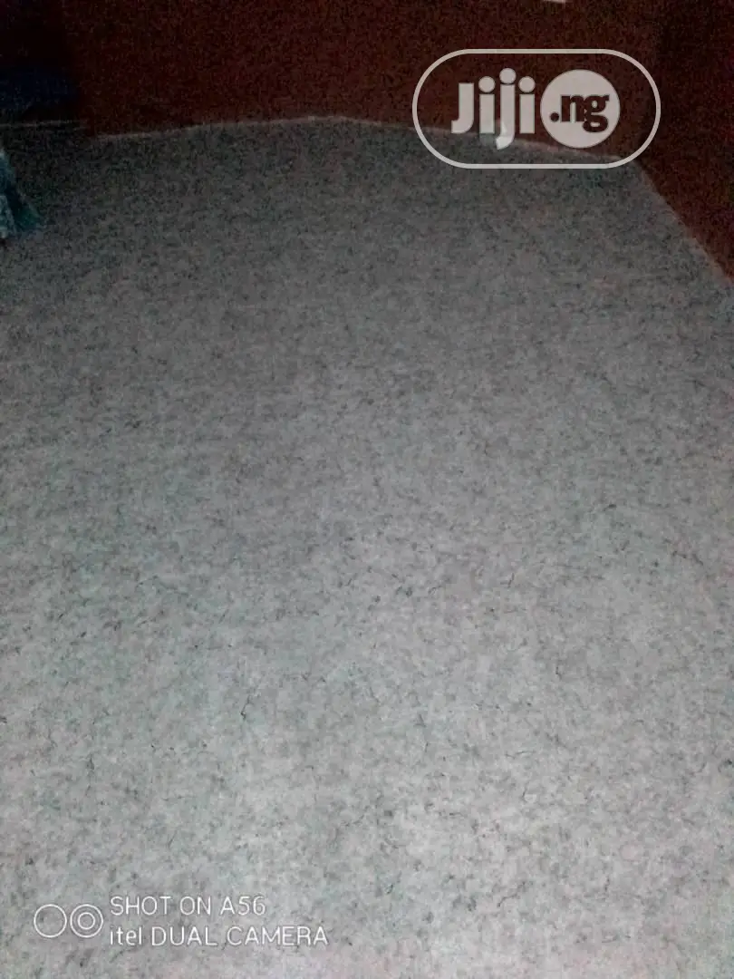 American Rug Carpet