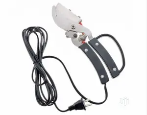 Electric Hand Debeaker