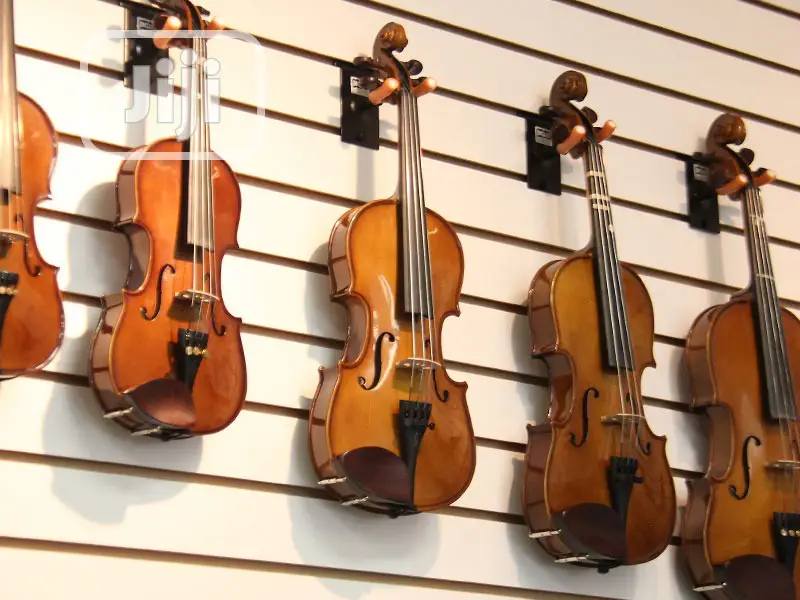 Professional 4/4, 1/3 Standard Violin