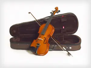 Professional Standard Violin