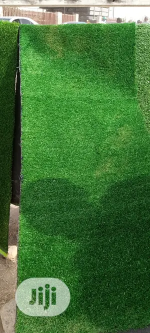 Photo - High Quality 25mm Carpet Grass