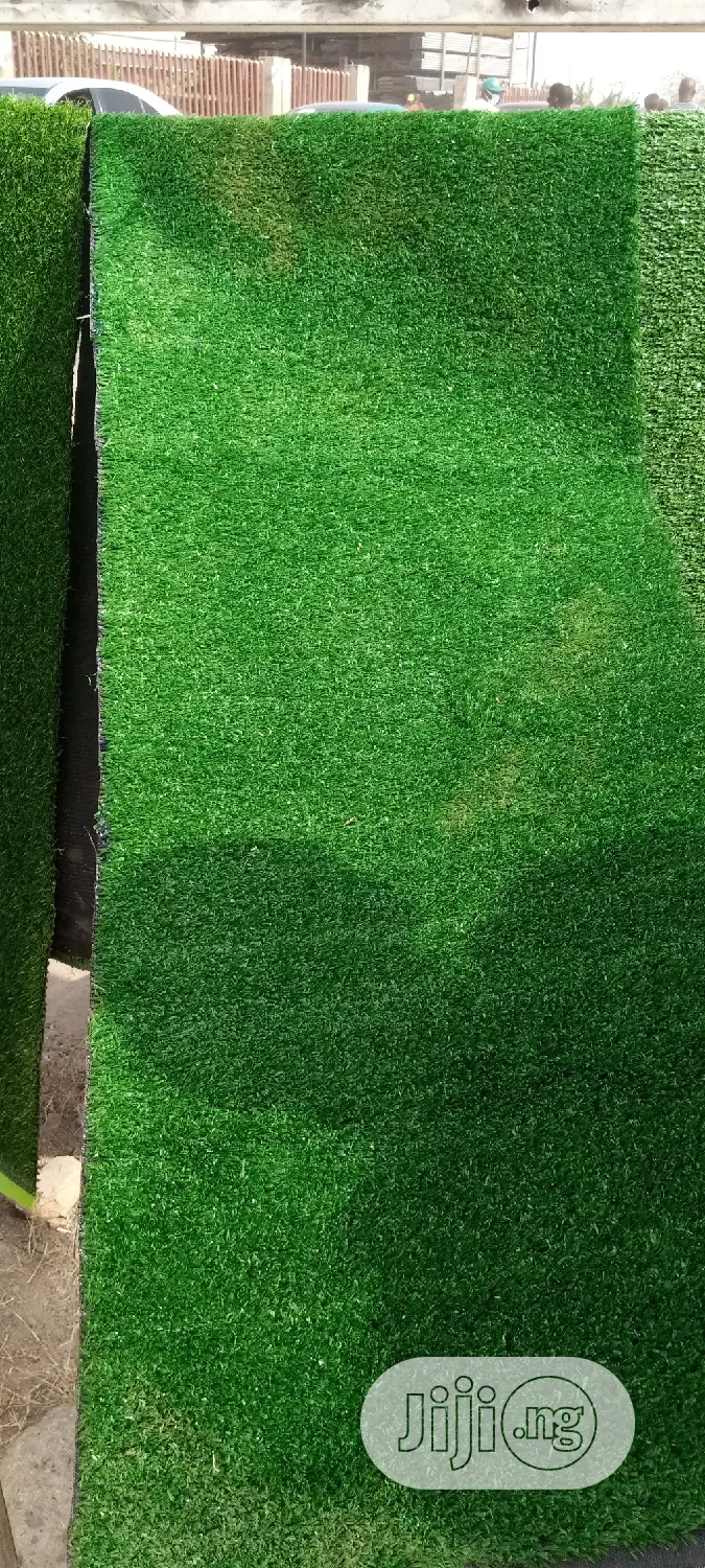 High Quality 25mm Carpet Grass