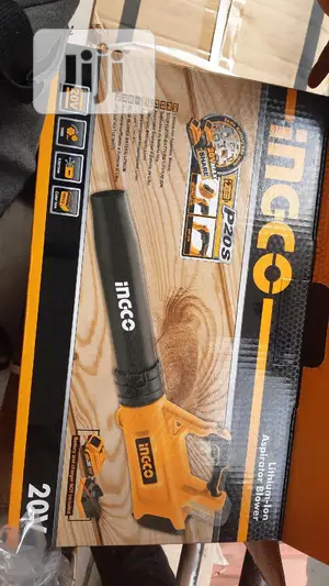 Big Cordless Air Blower 20v
