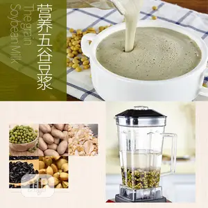 Silver Crest SC 1589 Blender