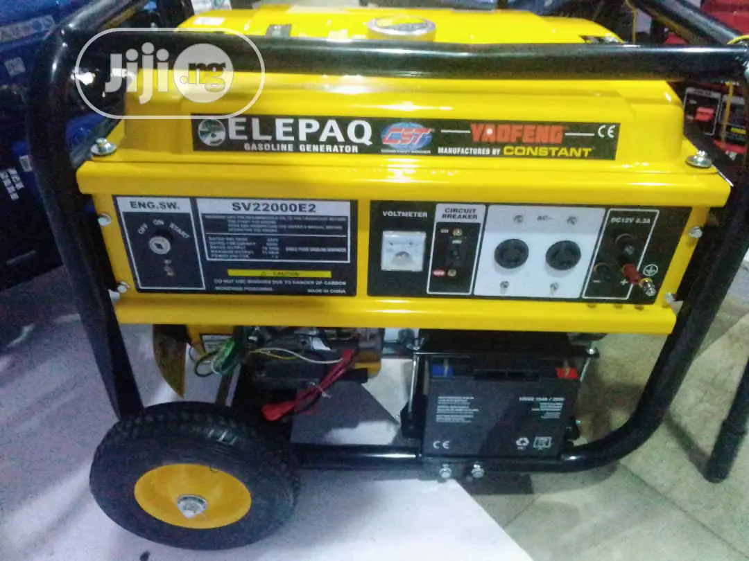 Elepaq 11kva Original Constant Generator Sv22000e2