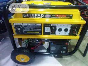 Elepaq 11kva Original Constant Generator Sv22000e2