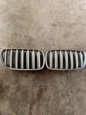 BMW X3 Front Grill