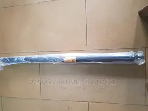 Hydraulic Boot Shock for Lexus Gx460 2012 to 2020 Model