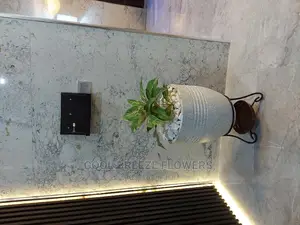 Air Purifying Plants Around U