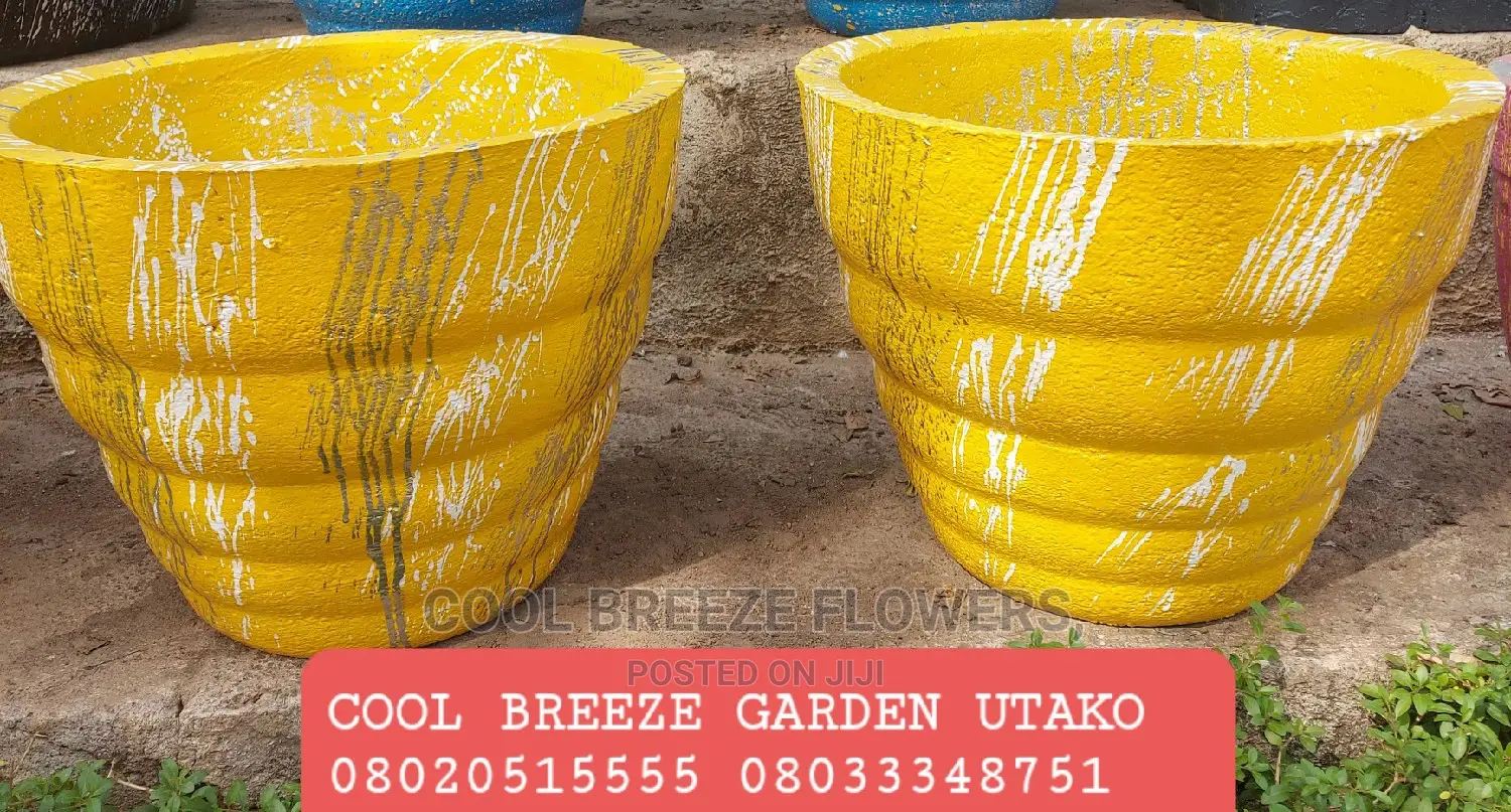 Air Purifying Plants Around U