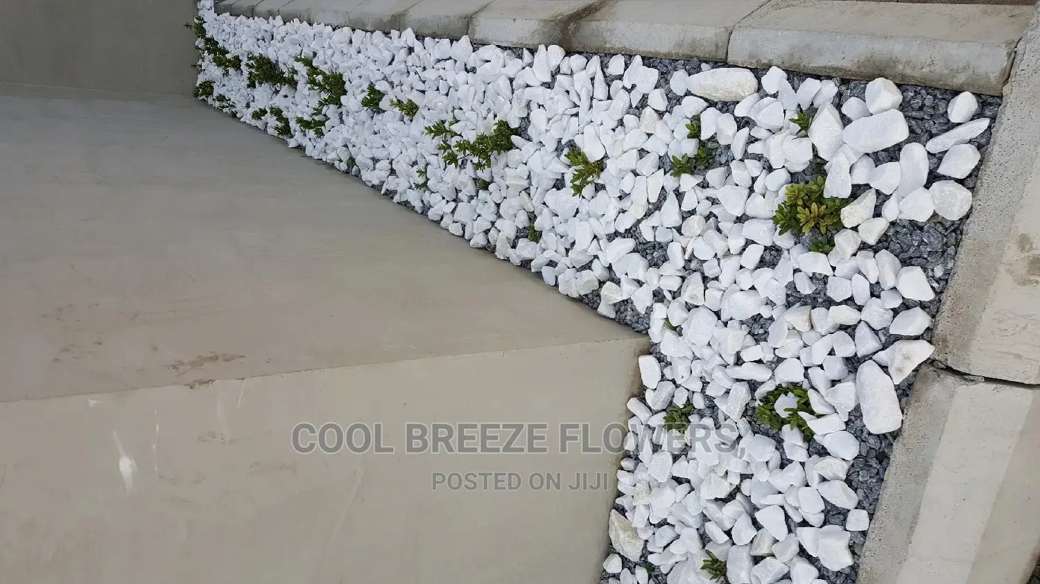 Durable Flower Pots Varieties