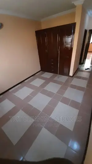 Professional Cleaning Services
